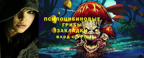 Альфа ПВП Саяногорск