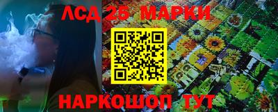 спайс Гатчина