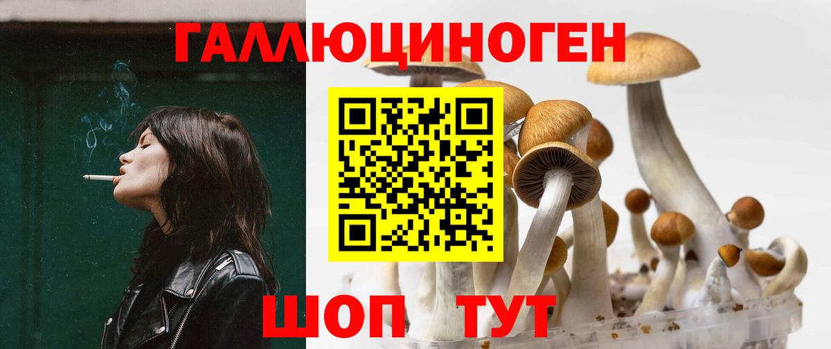 Галлюциногенные грибы Cubensis Ейск